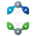 Cointeligencia